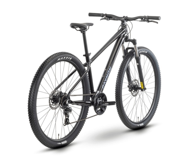 Raymon MTB Hardtail "Nayta" - black / iredesciant black